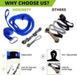 Dog Hanging Bungee Tug Toy: Interactive Tether Tug-of-War for Pitbull Small to Large Dogs to Exercise and Training Equipment - Outdoor Tree Tugger Dog Rope Toy with 2 Chew Rope Toys - Blue - Image 4