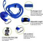Dog Hanging Bungee Tug Toy: Interactive Tether Tug-of-War for Pitbull Small to Large Dogs to Exercise and Training Equipment - Outdoor Tree Tugger Dog Rope Toy with 2 Chew Rope Toys - Blue - Image 5