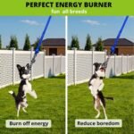 Dog Hanging Bungee Tug Toy: Interactive Tether Tug-of-War for Pitbull Small to Large Dogs to Exercise and Training Equipment - Outdoor Tree Tugger Dog Rope Toy with 2 Chew Rope Toys - Blue - Image 6