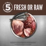 ORIJEN Grain Free High Protein Premium Dry Cat Food Regional Red Recipe 4lb Bag - Image 5