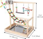 Small Bird Playground Parakeet, Parrot Table Top Stand With Climb Ladders, Swing, Chewing Toys for Conure, Cockatiel, Quaker Parrot, Medium Parrots - Image 3