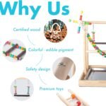 Small Bird Playground Parakeet, Parrot Table Top Stand With Climb Ladders, Swing, Chewing Toys for Conure, Cockatiel, Quaker Parrot, Medium Parrots - Image 4
