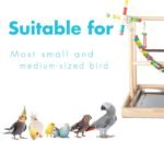 Small Bird Playground Parakeet, Parrot Table Top Stand With Climb Ladders, Swing, Chewing Toys for Conure, Cockatiel, Quaker Parrot, Medium Parrots - Image 7
