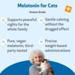Pet Wellbeing Pet Melatonin for Cats - Supports Adrenal & Thyroid Health, Cortisol Balance, Helps Maintain Normal Sleep Patterns - Liquid Supplement 2 fl oz (59 ml) - Image 3