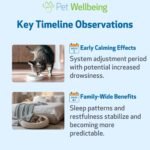 Pet Wellbeing Pet Melatonin for Cats - Supports Adrenal & Thyroid Health, Cortisol Balance, Helps Maintain Normal Sleep Patterns - Liquid Supplement 2 fl oz (59 ml) - Image 9