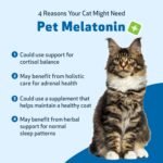 Pet Wellbeing Pet Melatonin for Cats - Supports Adrenal & Thyroid Health, Cortisol Balance, Helps Maintain Normal Sleep Patterns - Liquid Supplement 2 fl oz (59 ml) - Image 10