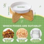 Raised Cat Bowl, 6.3'' Wide Shallow Elevated Cat Food Bowl, Ceramic Anti Vomit Pet Feeder with Stand, Anti Whisker Fatigue Neck Protective Feeding Dish for Kittens & Seniors (1 Pack) - Image 3