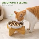 Raised Cat Bowl, 6.3'' Wide Shallow Elevated Cat Food Bowl, Ceramic Anti Vomit Pet Feeder with Stand, Anti Whisker Fatigue Neck Protective Feeding Dish for Kittens & Seniors (1 Pack) - Image 5