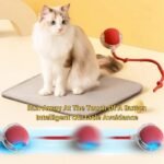 Interactive Dog Toys Ball for Indoor - Automatic Moving Cat Toy Puppies Toys - Rolling Ball Motion Activate 360° Smart Automatic Rolling Pet Ball (Red) - Image 4