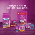 Whiskas Tuna Selections Adult Dry Cat Food – Natural Tuna Flavour, 4kg Bag - Image 10