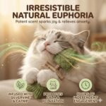 Purrident for Cats Silvervine Sticks & Catnip Dental Toy, Interactive Fish Bone Shape Kitten Plaything for Teeth Cleaning, Purrident Cat Chew for Indoor Boredom Relief, Jouet Pour Chat, 3PCS - Image 4