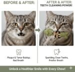 Purrident for Cats Silvervine Sticks & Catnip Dental Toy, Interactive Fish Bone Shape Kitten Plaything for Teeth Cleaning, Purrident Cat Chew for Indoor Boredom Relief, Jouet Pour Chat, 3PCS - Image 7