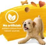 Beneful Originals Dry Dog Food, Real Chicken - 7 kg Bag - Image 7