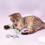 Andiker Silvervine Chew Sticks Cat Toy, 2PCS Animal Shape Kitten Teething Toys with Silvervine Sticks for Indoor Cats, Cute Cat Molar Sticks Plush Toy for Cat Teeth Cleaning Chewing - Image 5
