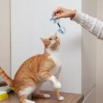 Andiker Silvervine Chew Sticks Cat Toy, 2PCS Animal Shape Kitten Teething Toys with Silvervine Sticks for Indoor Cats, Cute Cat Molar Sticks Plush Toy for Cat Teeth Cleaning Chewing - Image 6