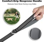 Plutus Pet Heavy Duty Dog Leash with Lockable Aluminum Carabiner, 4/6 Feet Long, Double-Sided Reflective Nylon, Padded Handle, for Puppy, Small, Medium and Large Dogs (Black, 2.5 x 180cm) - Image 5