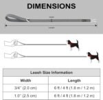 Plutus Pet Heavy Duty Dog Leash with Lockable Aluminum Carabiner, 4/6 Feet Long, Double-Sided Reflective Nylon, Padded Handle, for Puppy, Small, Medium and Large Dogs (Black, 2.5 x 180cm) - Image 9