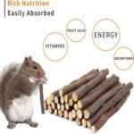 500 G Apple Chew Sticks, Small Animals Branch Chew Toys, Molar Wood Toy for Guinea Pigs, Rabbits, Squirrel, Chinchillas, Hamsters, Gerbil, Bunny and Small Pets - Image 4