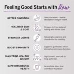 Stella & Chewy's Freeze-Dried Raw Cage-Free Chicken Recipe Marie's Magical Dinner Dust for Cats, 198g Bag - Image 5