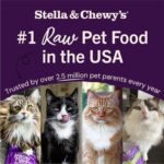 Stella & Chewy's Freeze-Dried Raw Cage-Free Chicken Recipe Marie's Magical Dinner Dust for Cats, 198g Bag - Image 8