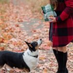 Rollover Small Gourmet Crunchy Lamb Biscuits - 300g - Image 5