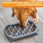 Neater Pet Brands - Neater Slow Feeder - Fun, Healthy, Stress Free Dog Bowl Helps Stop Bloat Prevents Obesity Improves Digestion (2.5 Cup, Gunmetal) - Image 4