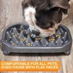 Neater Pet Brands - Neater Slow Feeder - Fun, Healthy, Stress Free Dog Bowl Helps Stop Bloat Prevents Obesity Improves Digestion (2.5 Cup, Gunmetal) - Image 5
