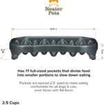 Neater Pet Brands - Neater Slow Feeder - Fun, Healthy, Stress Free Dog Bowl Helps Stop Bloat Prevents Obesity Improves Digestion (2.5 Cup, Gunmetal) - Image 8