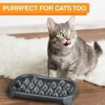Neater Pet Brands - Neater Slow Feeder - Fun, Healthy, Stress Free Dog Bowl Helps Stop Bloat Prevents Obesity Improves Digestion (2.5 Cup, Gunmetal) - Image 9