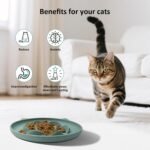 Slow Feeder Cat Bowl, Anti-Gulping Design, 2-Pack, for Wet and Dry Food - Image 7