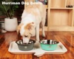 Stainless Steel Dog Bowls with Rubber Bottom, Dog Food and Water Bowls, Non Slip Stackable Pet Feeder Dish for Cat, Small, Medium and Large Dogs - Image 7