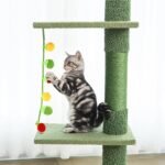 Interactive Cat Teaser Wand with Catnip & Bell - Hanging Fruit-Shaped Toys (Persimmon,Tomato) for Indoor Cats,Soft Chewable Kitten Toy to Relieve Boredom & Anxiety,Safe for Biting and Play - Image 6