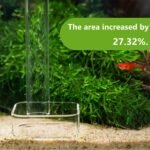 LINLAN 30cm Glass Shrimp Feeder, Aquarium Feeder Tube and Square Feeding Bowl with Two Suction Cups for Crystal Shrimp and Cherry Shrimp - Image 7