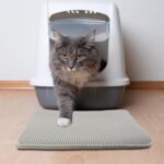 Cat Litter Mat - 24x15-Inch Waterproof Litter Box Mat with Dual-Layer Honeycomb Design for Trapping Litter - Slip-Resistant Cat Mat by PETMAKER (Gray) - Image 8