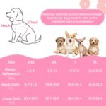 Lukovee Puppy Harness and Leash Set, No Pull Lightweight Pet Harness Vest for Puppy Small and Medium Size Dog, Adjustable Soft Suede Dog Leash Set (Pink,XXS) - Image 3