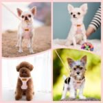 Lukovee Puppy Harness and Leash Set, No Pull Lightweight Pet Harness Vest for Puppy Small and Medium Size Dog, Adjustable Soft Suede Dog Leash Set (Pink,XXS) - Image 8