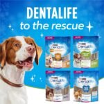 DentaLife ActivFresh Dog Treats for Small/Medium Breed Dogs - 439 g Pouch (1 Pack) - Image 8