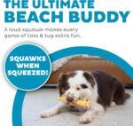 Outward Hound Squawkers Henrietta Latex Rubber Chicken Interactive Dog Toy, Small - Image 3