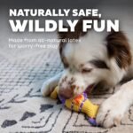 Outward Hound Squawkers Henrietta Latex Rubber Chicken Interactive Dog Toy, Small - Image 5