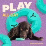 Yomp ChillChew Freezable Dog Toy – Cooling Chew Toy for Soft and Medium Chewers, Frozen Treat and Teething Toy – Made of Pet-Safe, Non-Toxic Silicone - Image 6