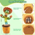 Ayeboovi Dancing Talking Cactus Toys for Boys and Girls, Adjustable Volume Cactus Baby Toys Singing Record Repeating What You Say, with 120 English Songs for Kids Toddler Gift - Image 6
