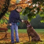 Kurgo Dog Training Treat Pouch Bag, Treat Bags for Dogs, Portable Pet Pocket Waist Clip Bag, Reflective Snack Bag for Pets, Includes Clip and Carabiner, Go Stuff-it Bag, Coastal Blue - Image 6