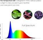 LED Aquarium Light, 360-Degree Full Spectrum Led Light with Bamboo Board, 10W Nano Fish Tank Light, USB Powered, Flat Nano Aquarium Light, Fish Tank Light Suitable for Plant Growth (L) - Image 4