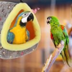 Large Warm Bird Nest House - Cozy Bird Bed for Cage with Mat, Hanging Hammock Shed Hideaway Hut for Macaw African Grey Amazon Parrots - Image 8