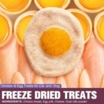 Freeze-Dried Chicken & Egg Cat and Dog Snacks - No Additives, Naturally Gentle, Suitable for Training Kittens and Puppies, Supports Coat and Digestive Health, 3.53oz/1PC - Image 5