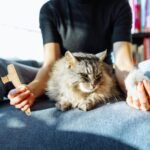 Pet Flea Comb | Tick Comb Grooming Brush for Cats Thick Hair - Gentle Tick Remover Tool Pet Supplies, Ergonomic Cleaning Tools for Thick Long Hair Kitten Puppy - Image 3