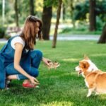 ALL FOR PAWS Squirrel Squeaky Doy Toy, Squirrel Dog Toy for Small Medium Breed, Puppy Fetch Toy with Squeaker, Plush Chew Dog Toy, Classic-Chipmunk S - Image 4