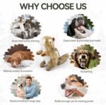 ALL FOR PAWS Squirrel Squeaky Doy Toy, Squirrel Dog Toy for Small Medium Breed, Puppy Fetch Toy with Squeaker, Plush Chew Dog Toy, Classic-Chipmunk S - Image 8