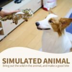 ALL FOR PAWS Squirrel Squeaky Doy Toy, Squirrel Dog Toy for Small Medium Breed, Puppy Fetch Toy with Squeaker, Plush Chew Dog Toy, Classic-Chipmunk S - Image 9