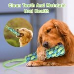 3pcs Interactive Dog Toys, Dog Tug of War Toy Tether Tug for Small and Medium Dogs, Dog Bungee Toy Tree Tugger Dog Toy for Indoor Outdoor, Blue - Image 5